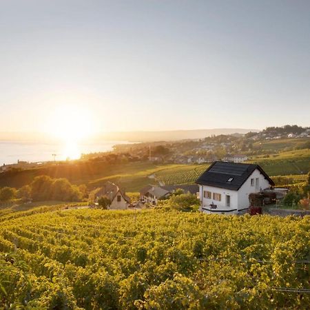 #Lavaux Hotell Lutry Exteriör bild