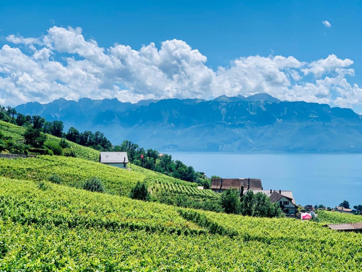 #Lavaux Hotell Lutry Exteriör bild