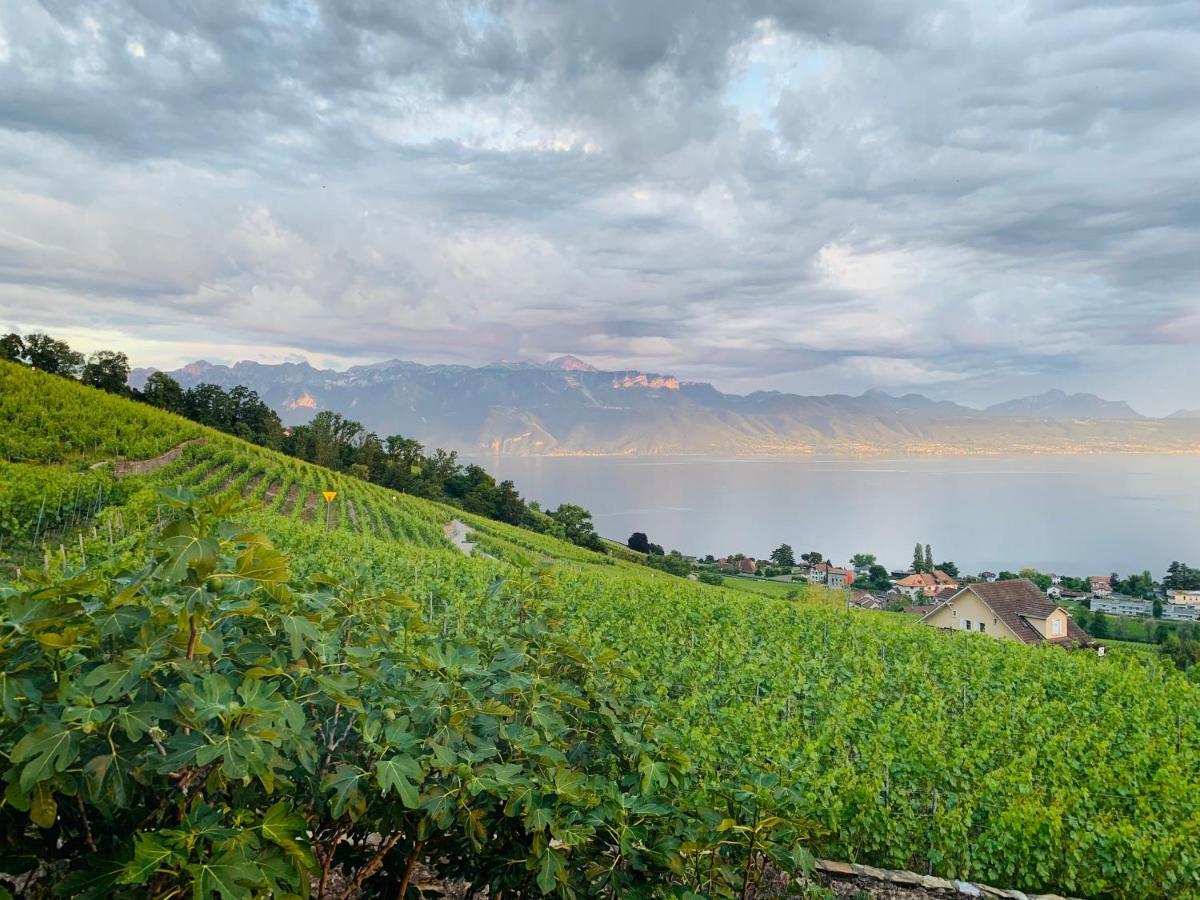 #Lavaux Hotell Lutry Exteriör bild