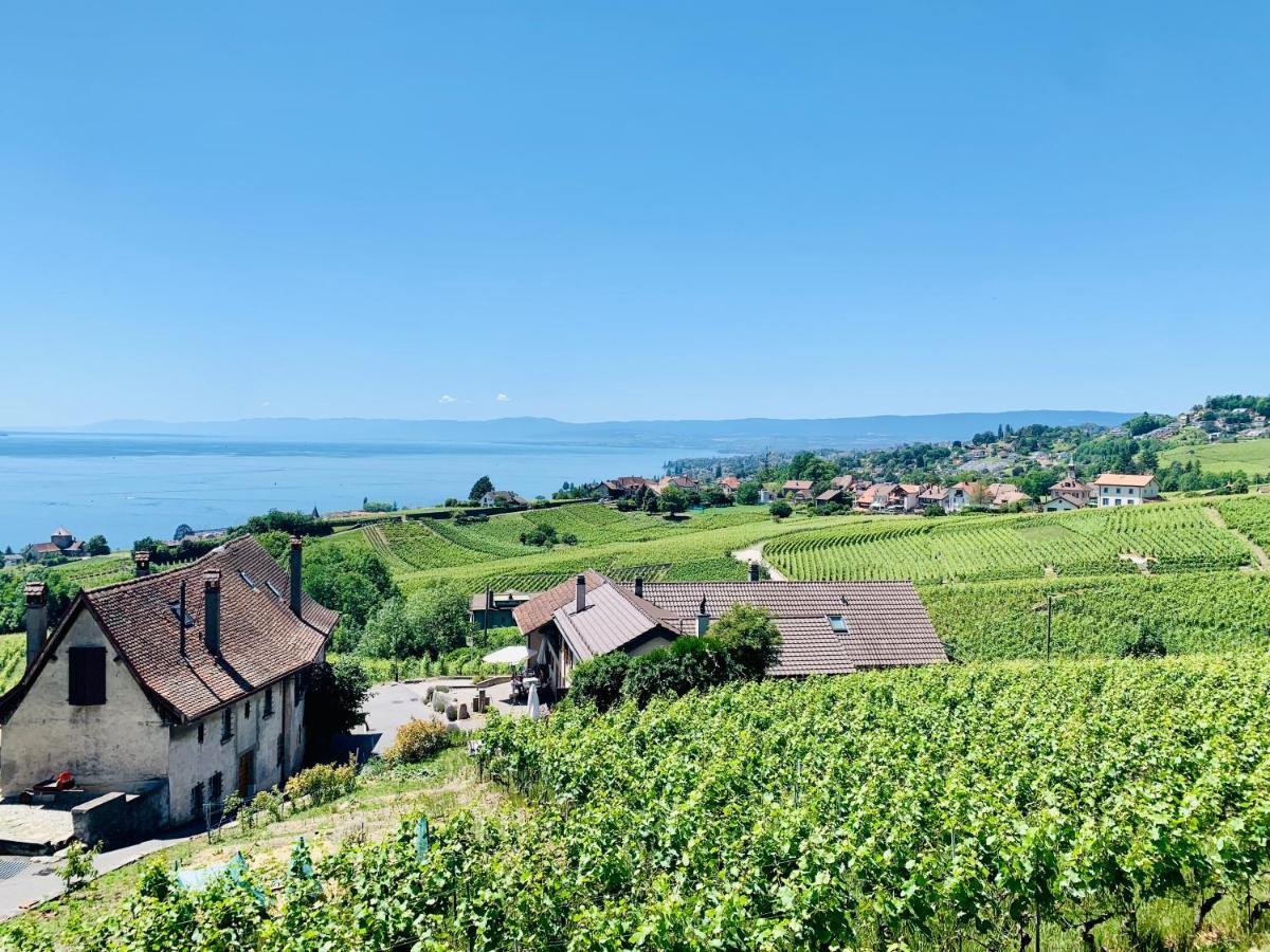 #Lavaux Hotell Lutry Exteriör bild