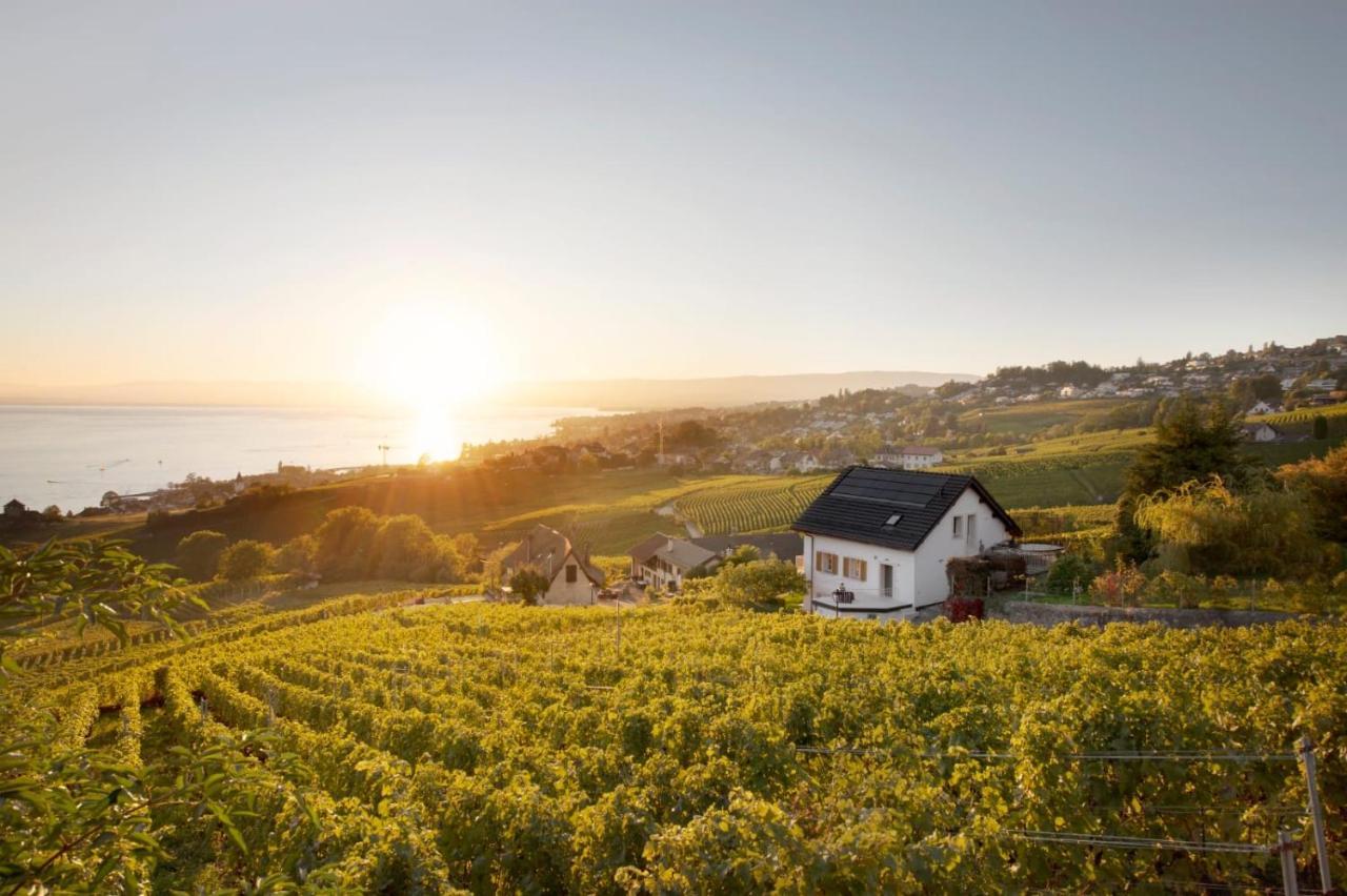 #Lavaux Hotell Lutry Exteriör bild